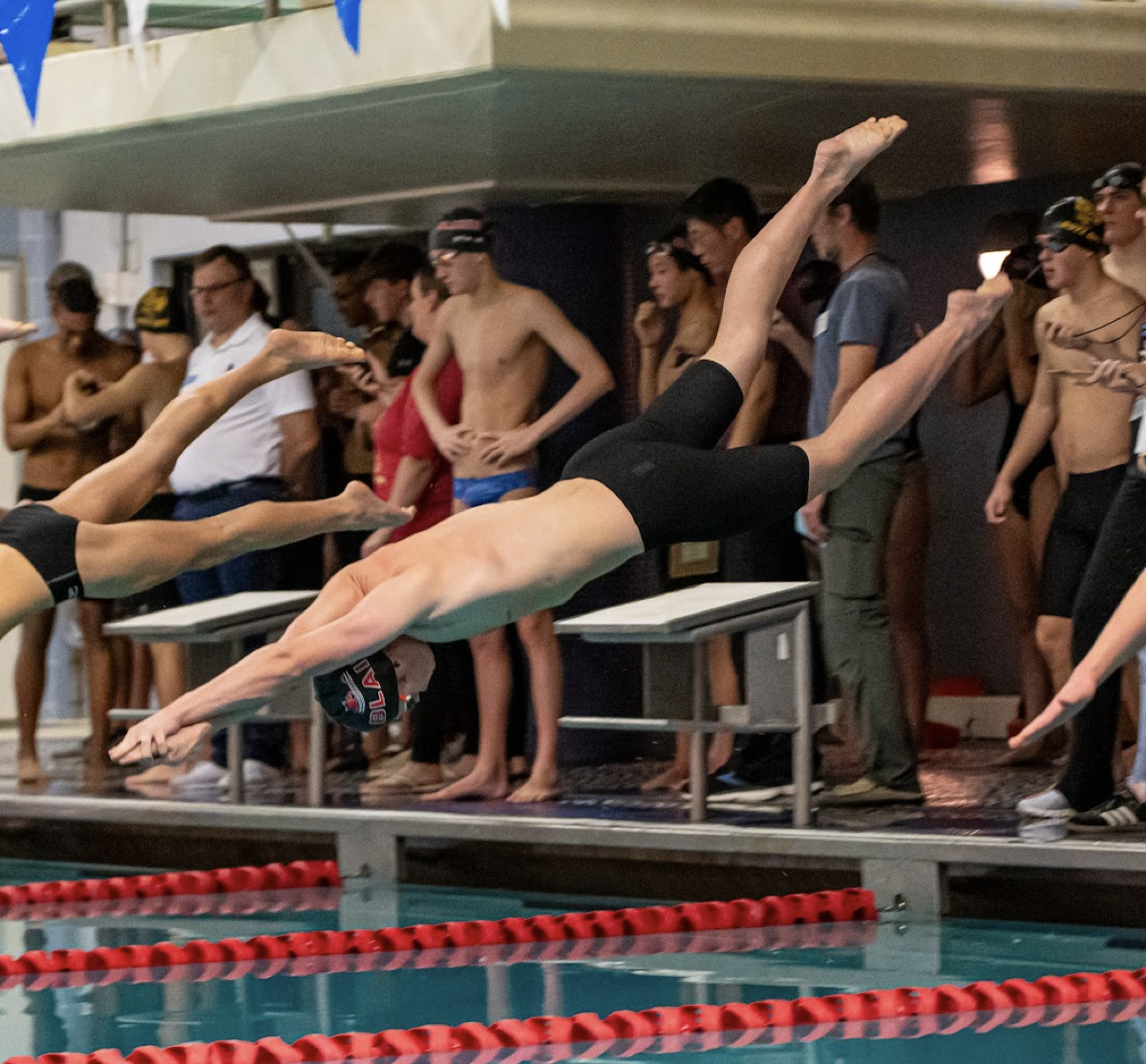 Swim dive start
